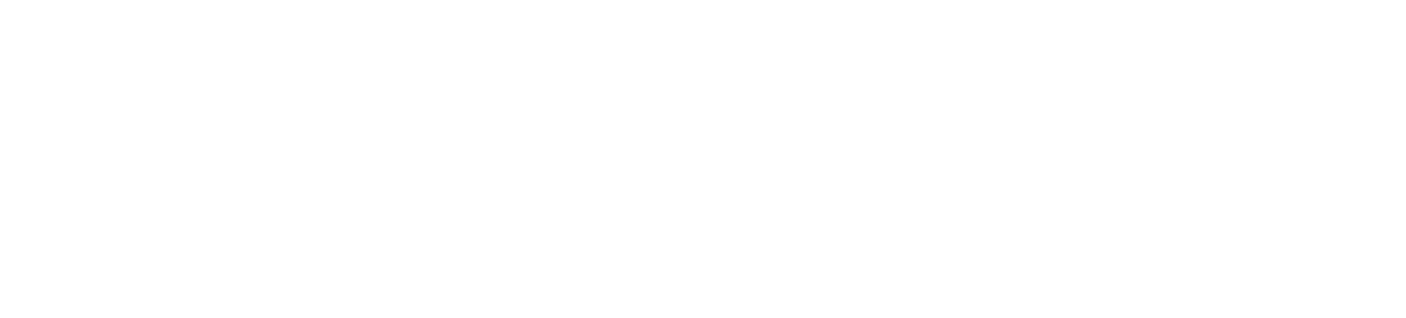 Superfeet Logo